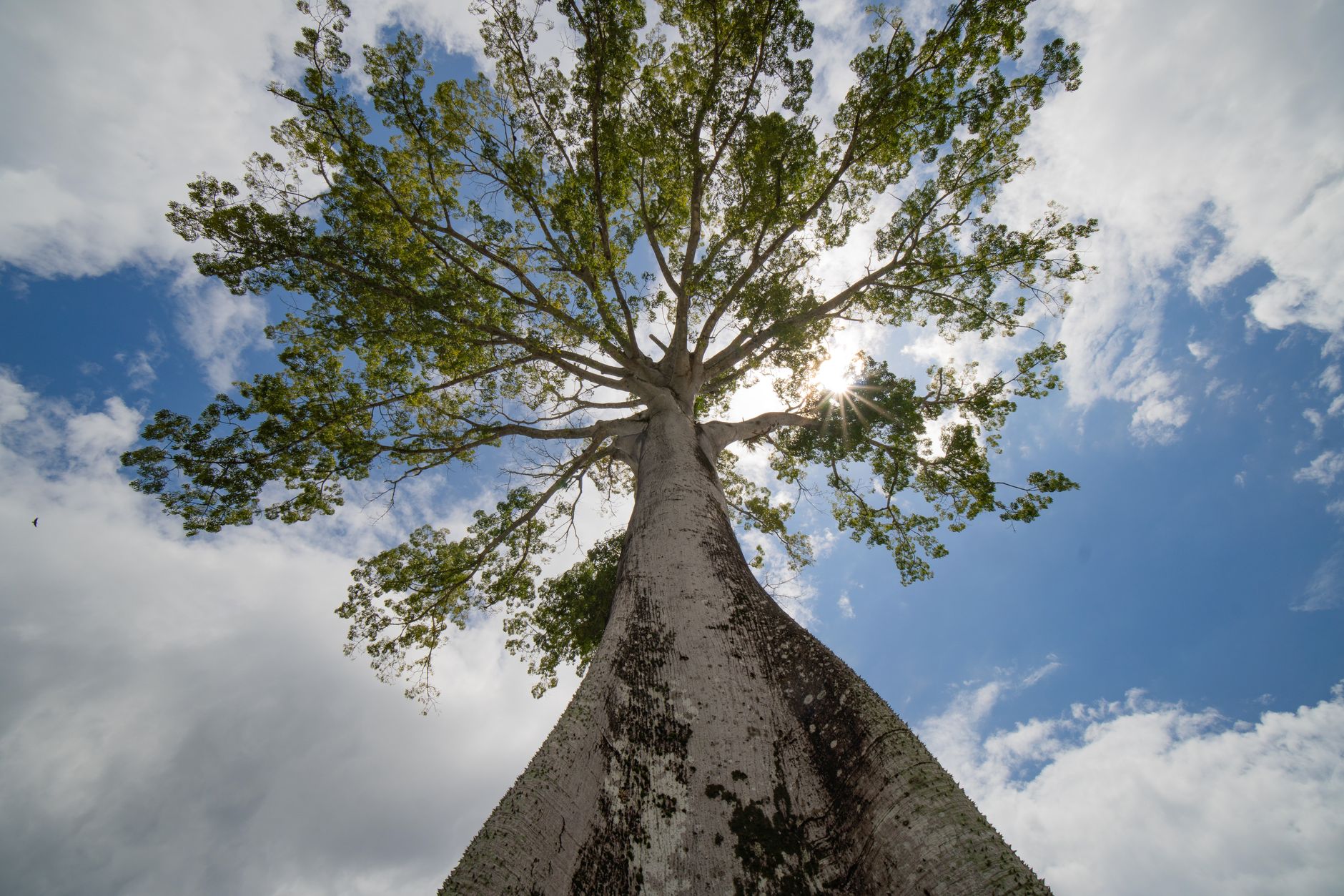 Amazônia Profunda Expedição Privada