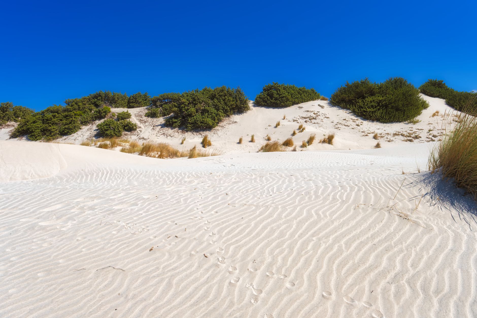Lençóis Maranhenses Dunas e Lagoas Azuis
